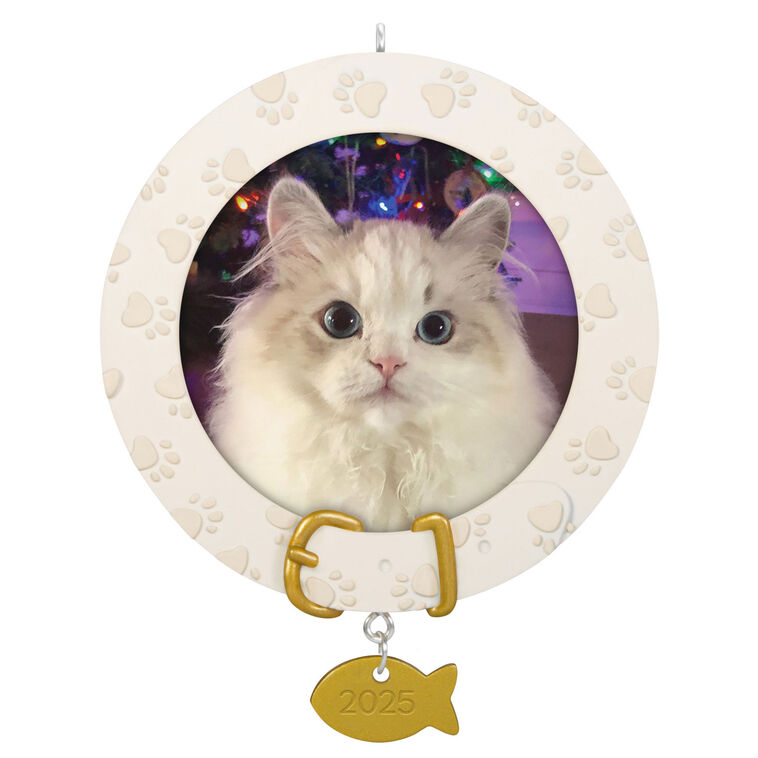 Furry Friend 2025 Personalized Ornament, Custom Photo