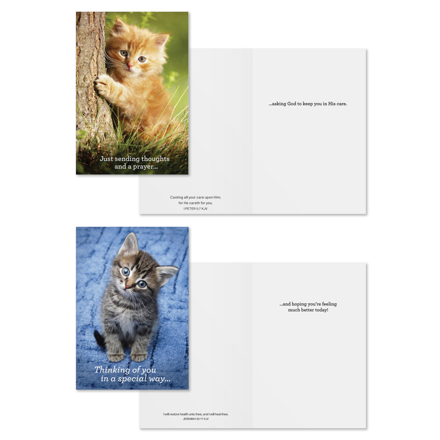 Cats and Dogs DaySpring Get Well Cards Assortment Card Front with Sentiment image number 3