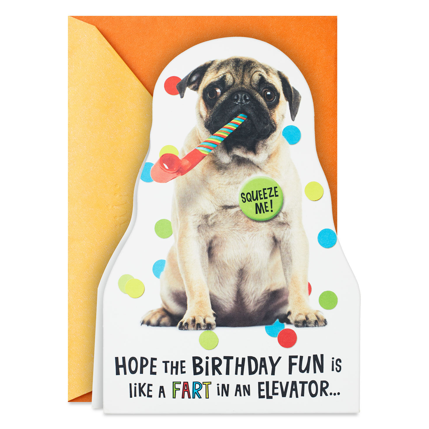 Impossible to Ignore Funny Musical Birthday Card With Sound