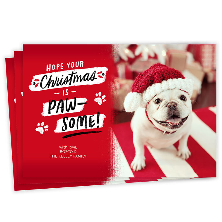 Paw-Some Pet Flat Christmas Photo Card