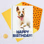 Celebrate Like Someone Forgot to Lock the Gate Birthday Card, , large image number 5