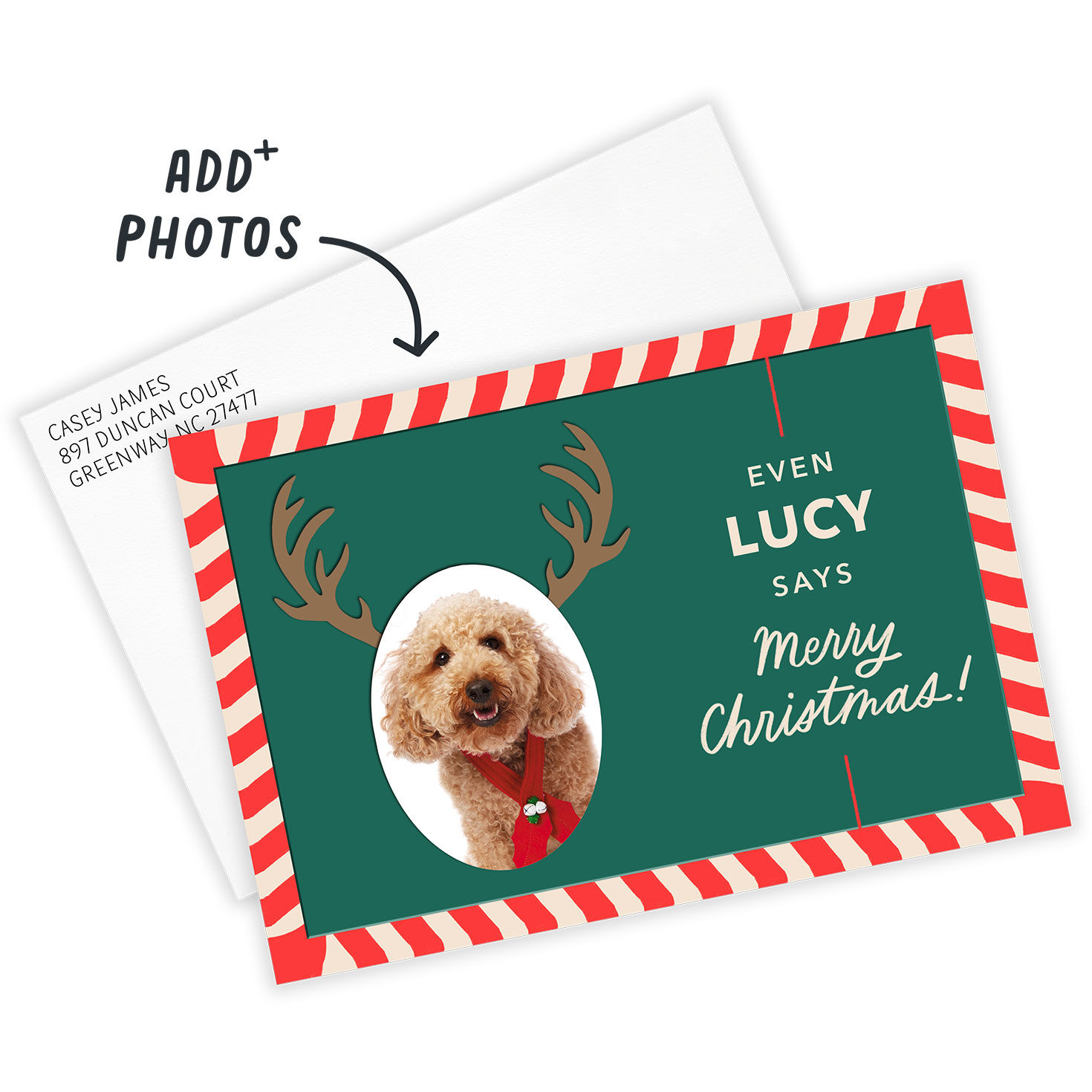 Reindeer Face Funny Flat Christmas Photo Card, , large image number 2