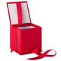 Solid Red Small Square Gift Box open image number 4