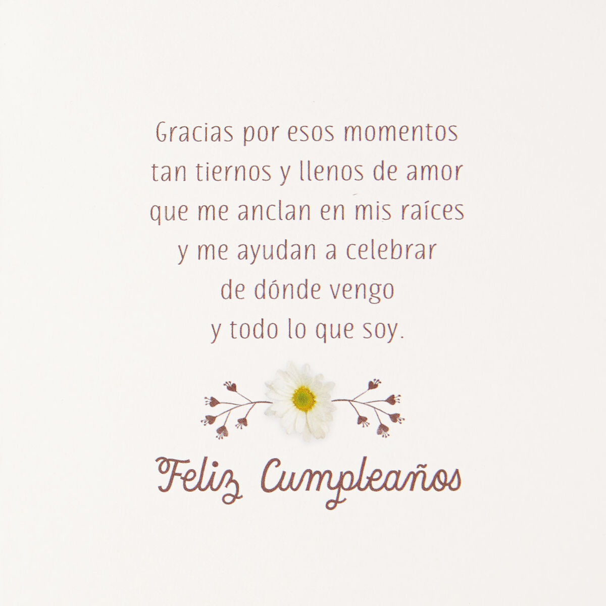 Flower Basket SpanishLanguage Birthday Card for Grandma Greeting