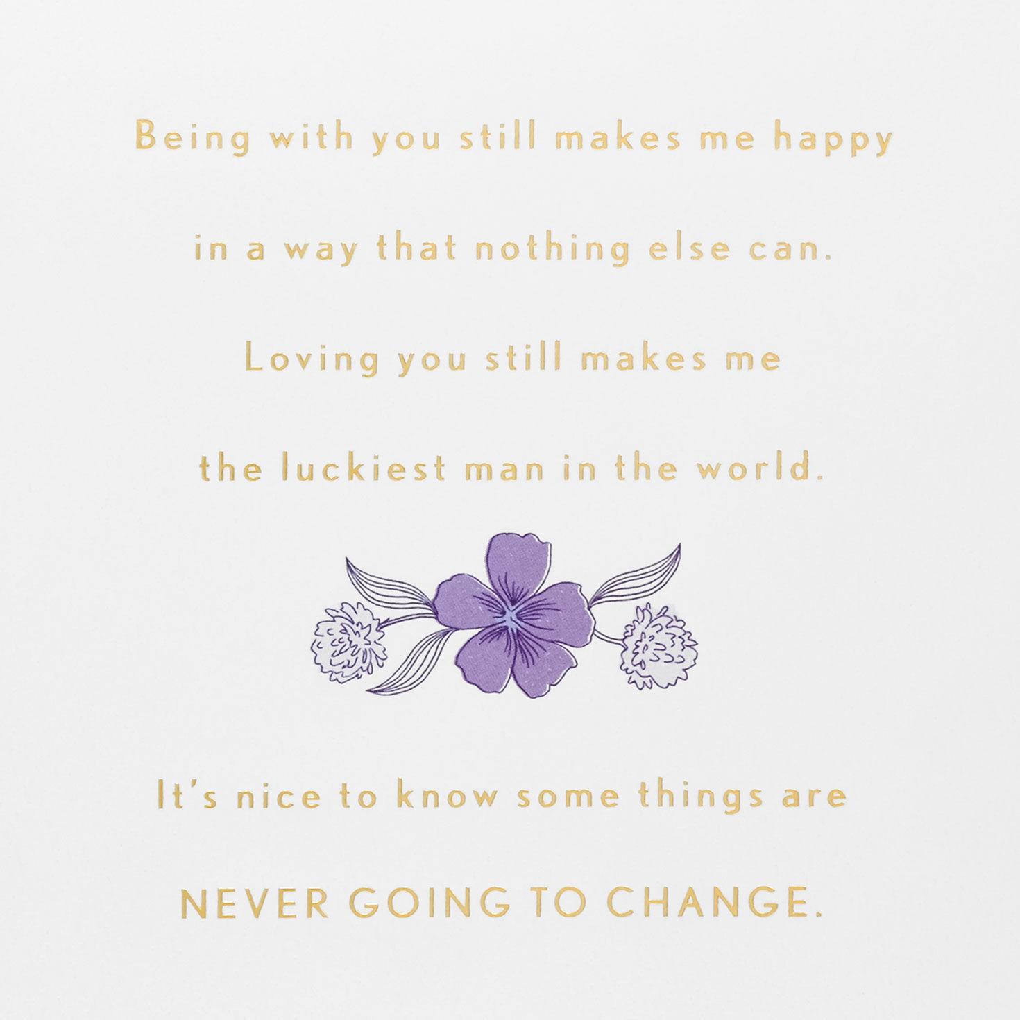 Blue and Purple Flowers Wife Anniversary Card Sentiment image number 3