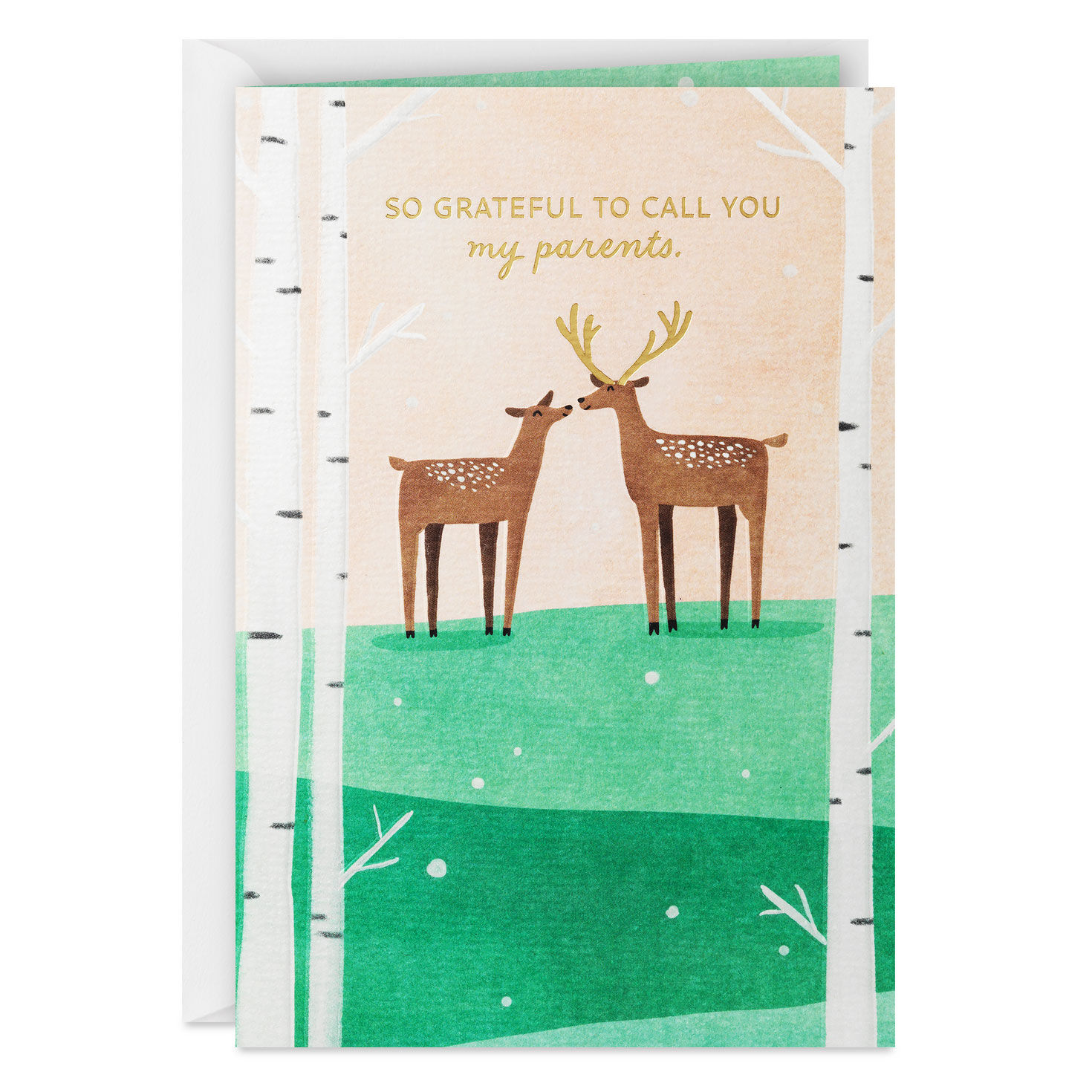 Grateful and Blessed Christmas Card for Parents - Greeting Cards - Hallmark