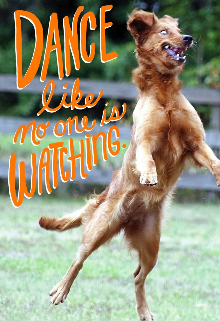 Dancing Dog Funny Birthday Card