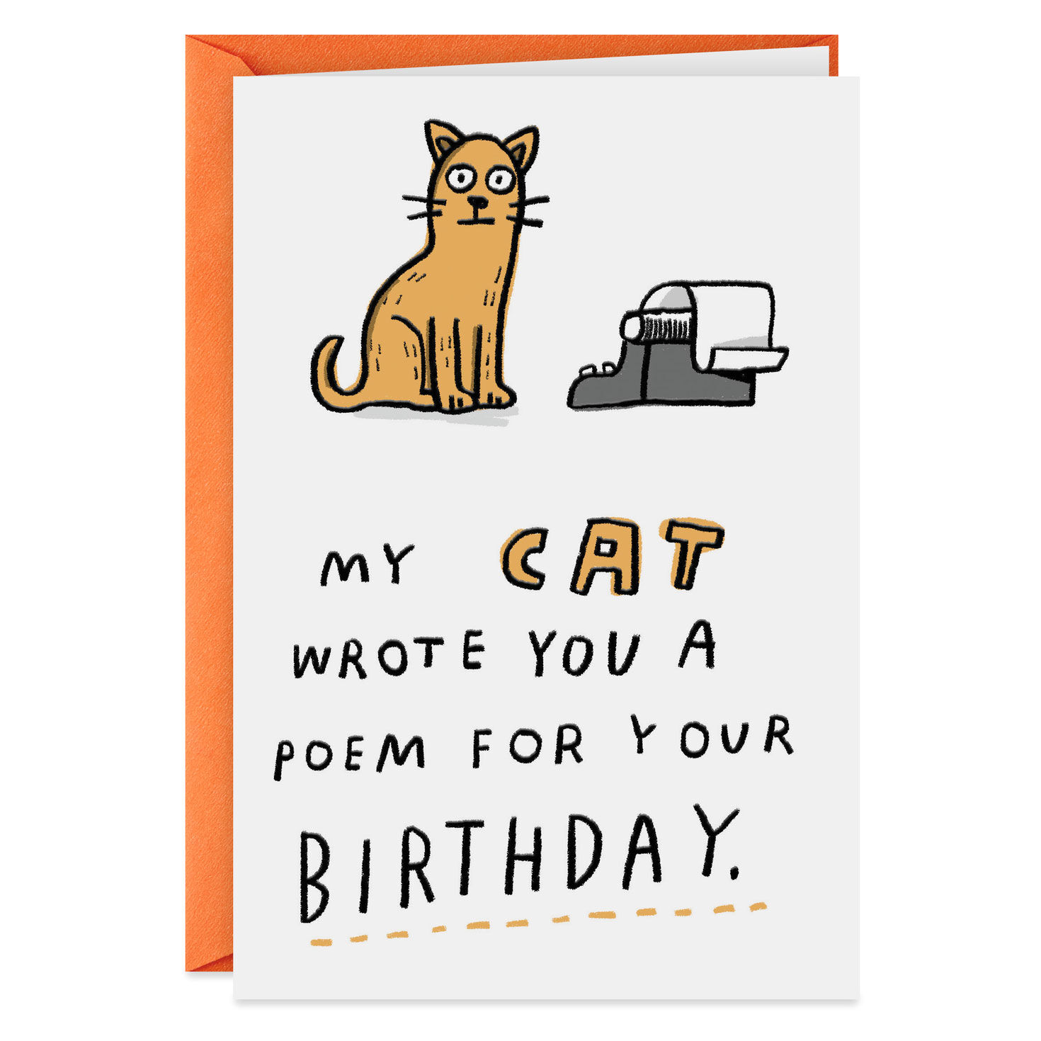 Paper Cats Dont Care That Its Your Birthday Hallmark Shoebox Funny
