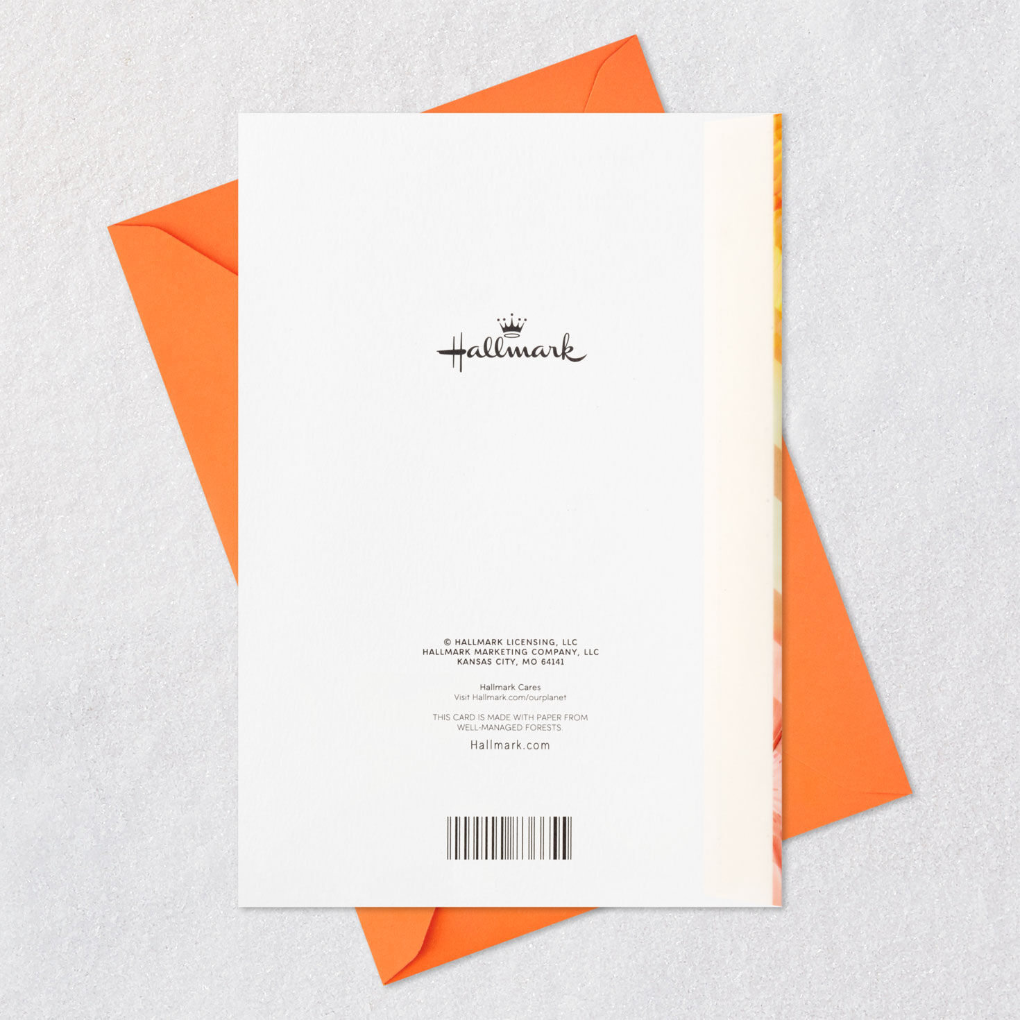 You Enrich the Lives of Others 90th Birthday Card for only USD 5.99 | Hallmark