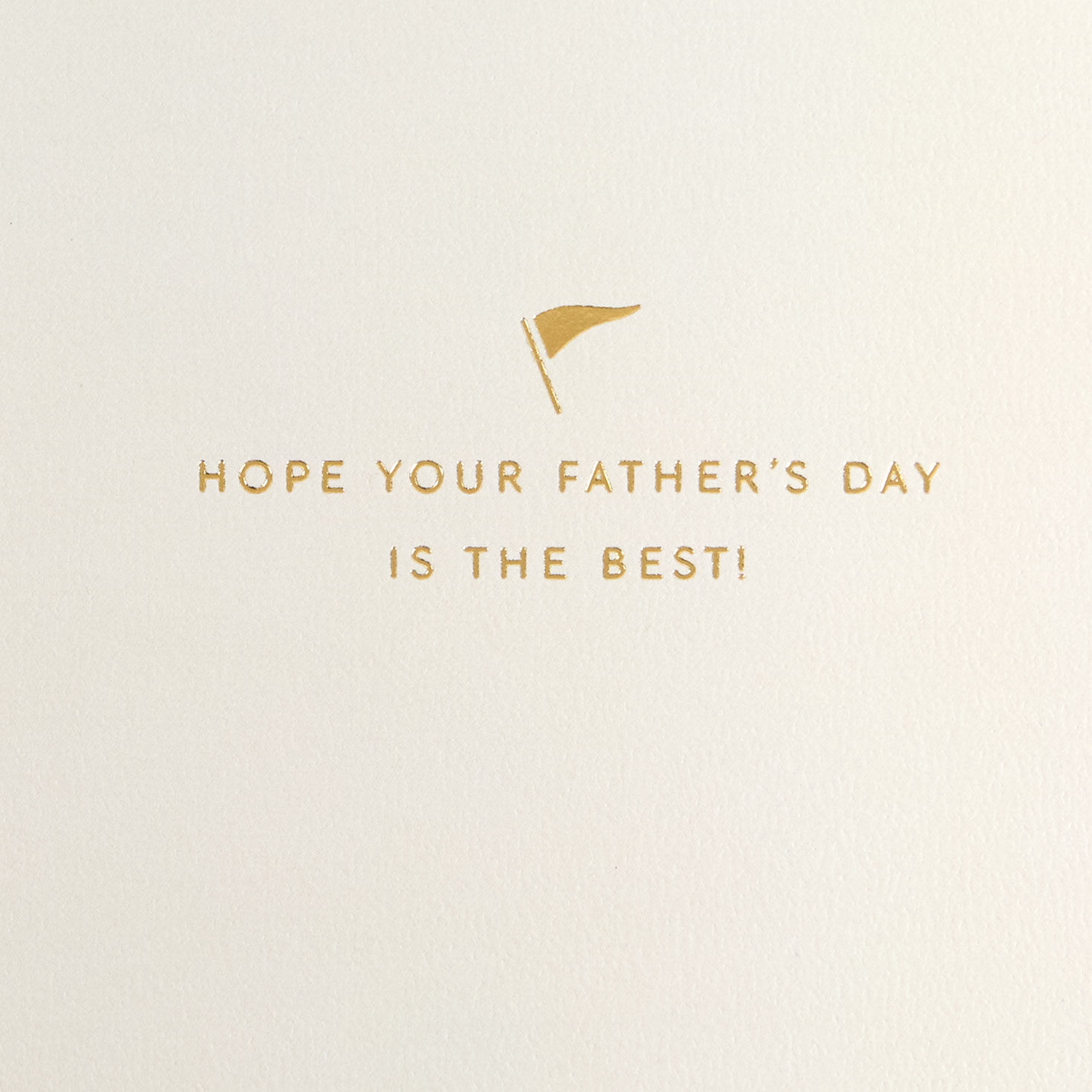 Felt Sports Pennants Dad Father's Day Card Sentiment image number 2