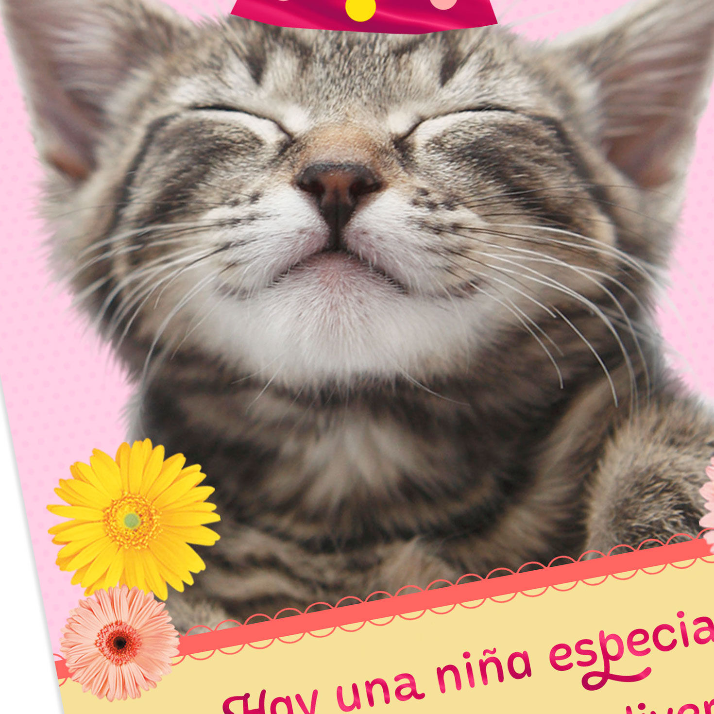 Kitten With Party Hat and Daisies Birthday Card in Spanish Card Front Detail image number 4