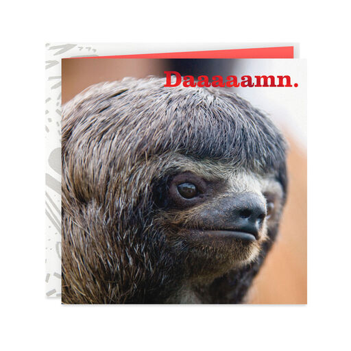 Damn, Slow That Awesome Down Sloth Funny Card, 