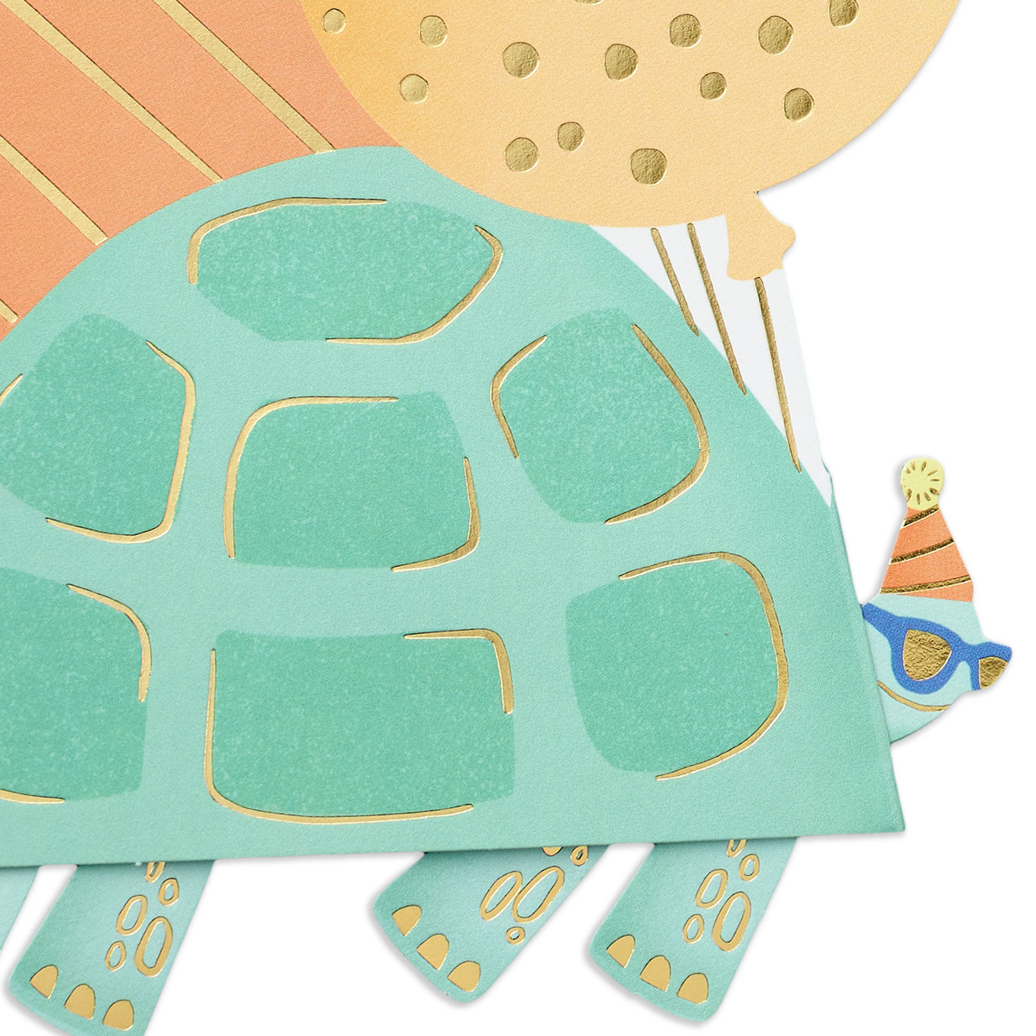Turtle with Balloons Birthday Card Card Front Detail image number 4