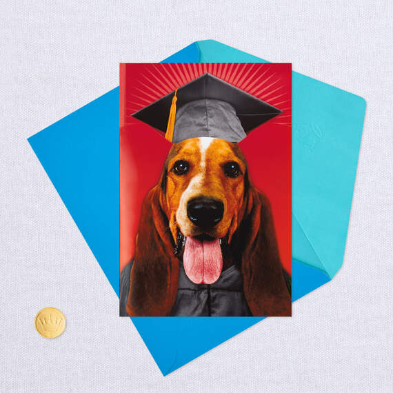 Dog Pop-Up Musical Graduation Card, , large image number 6