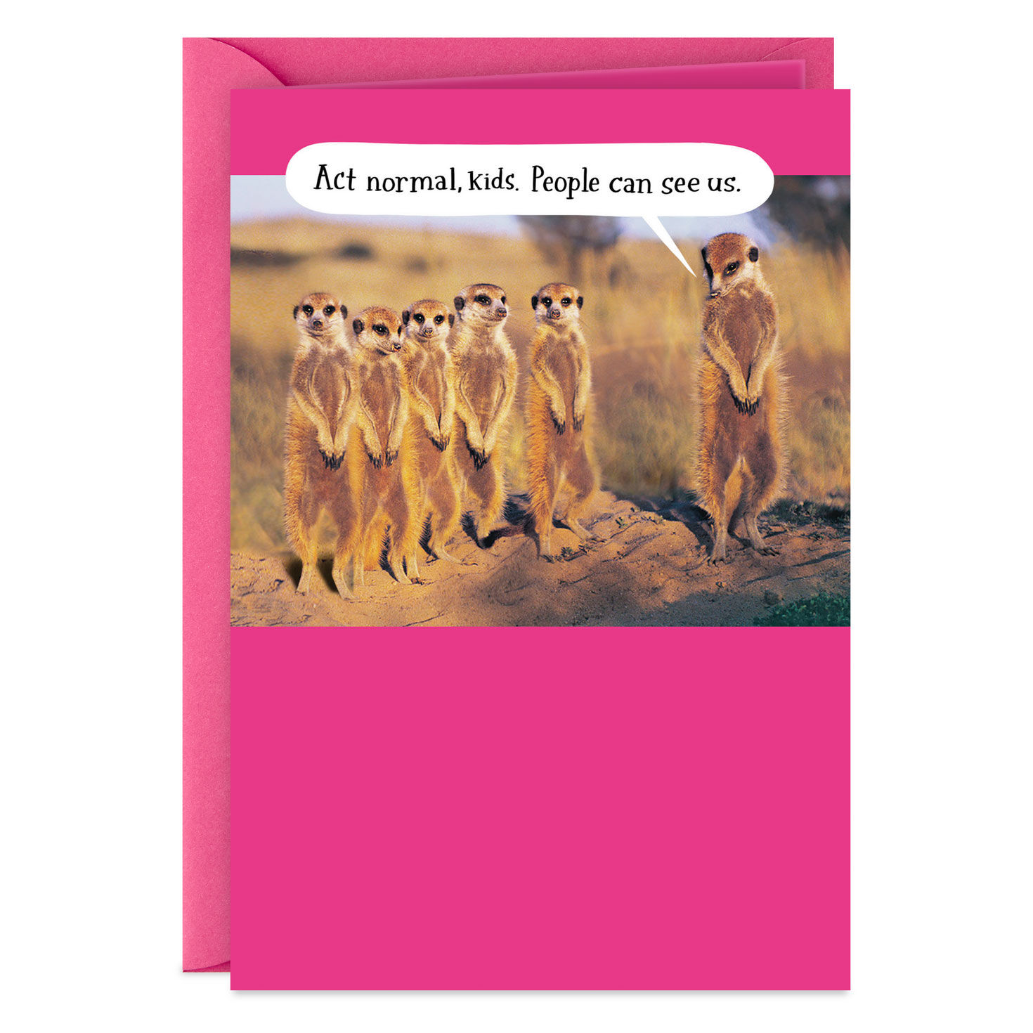 Act Normal Funny Mother's Day Card for Mom