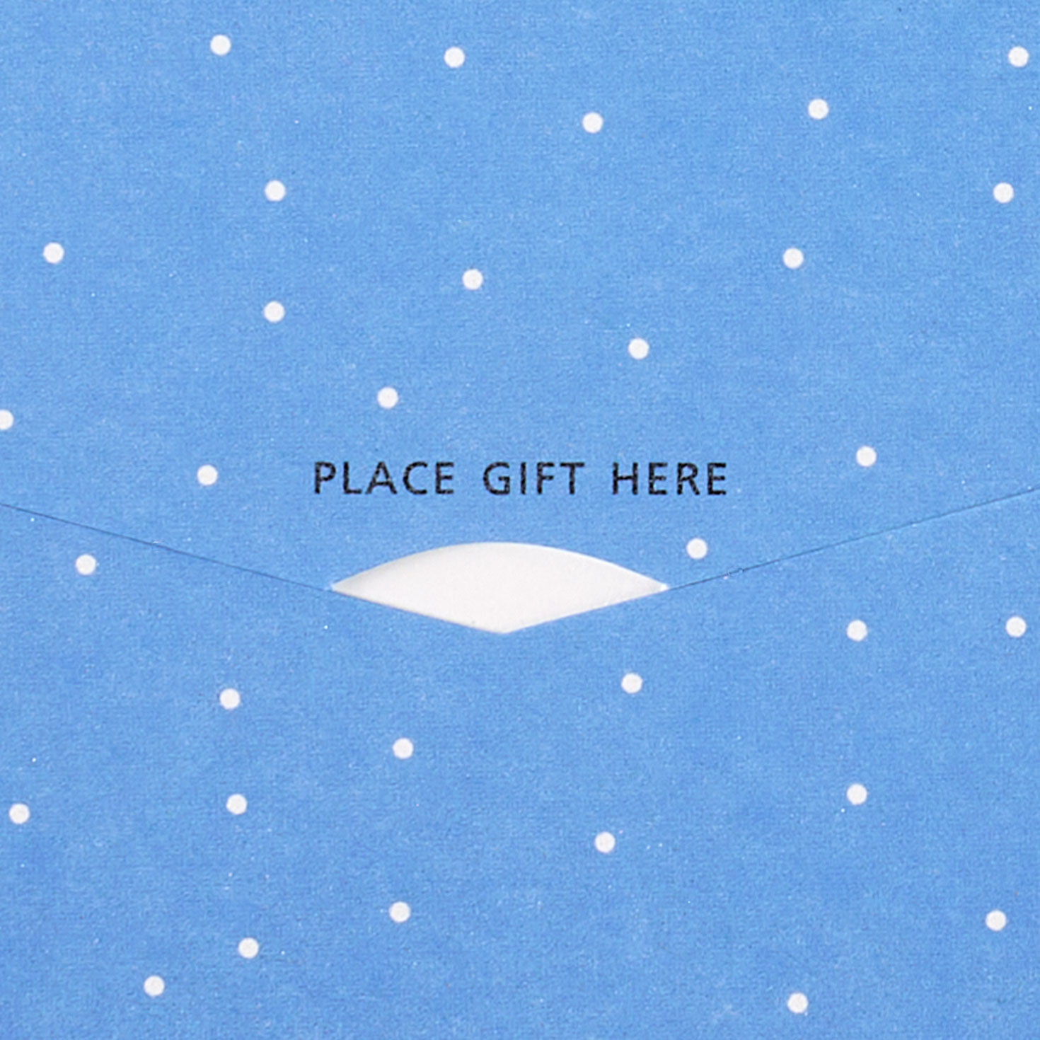 Skiing and Snowboarding Holiday Gift Card Holder sentiment image number 3