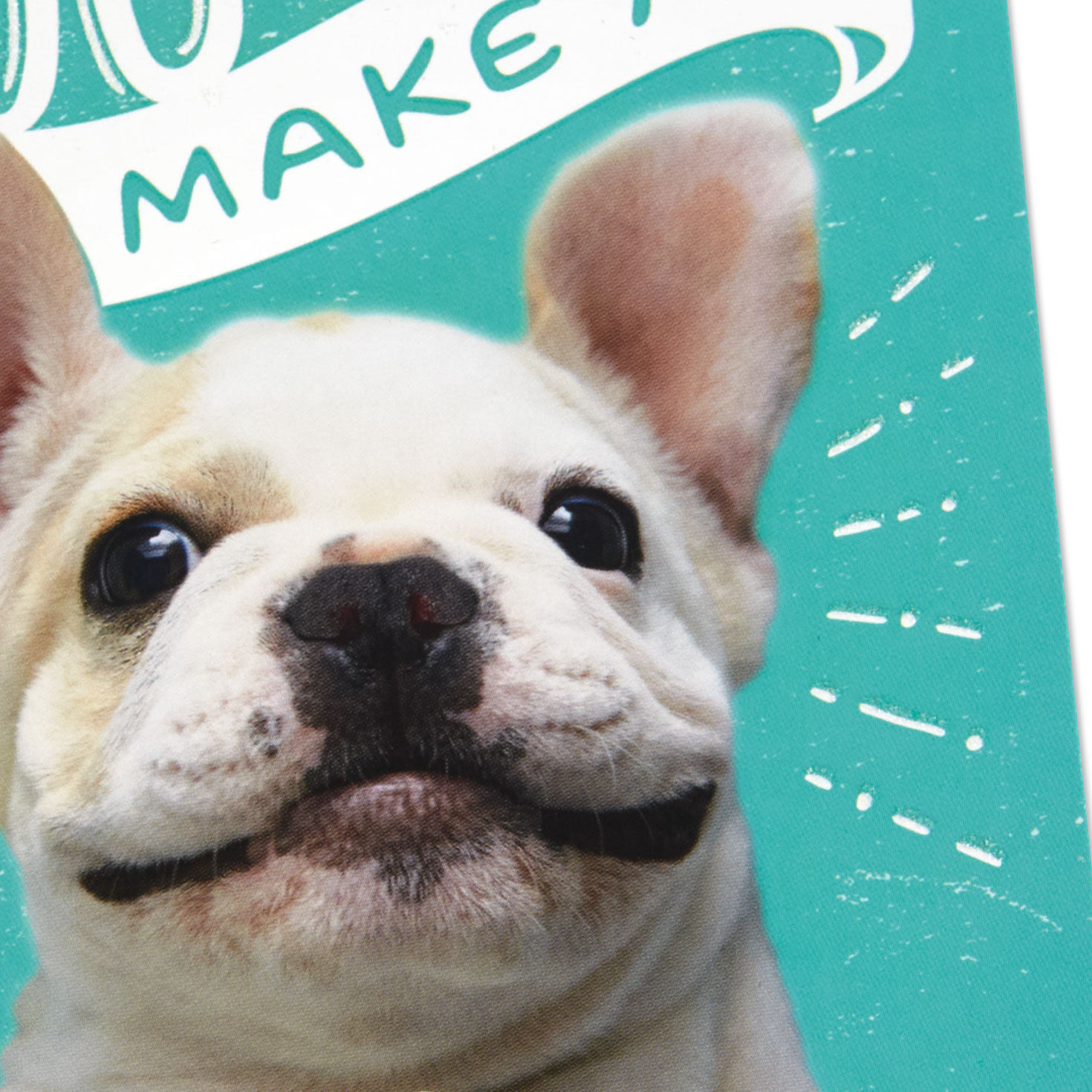 Bulldog Friendship Card Card Front Detail image number 4