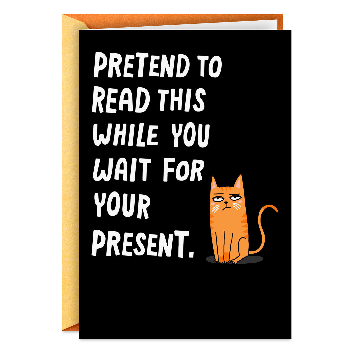 Pretend to Read This Funny Birthday Card