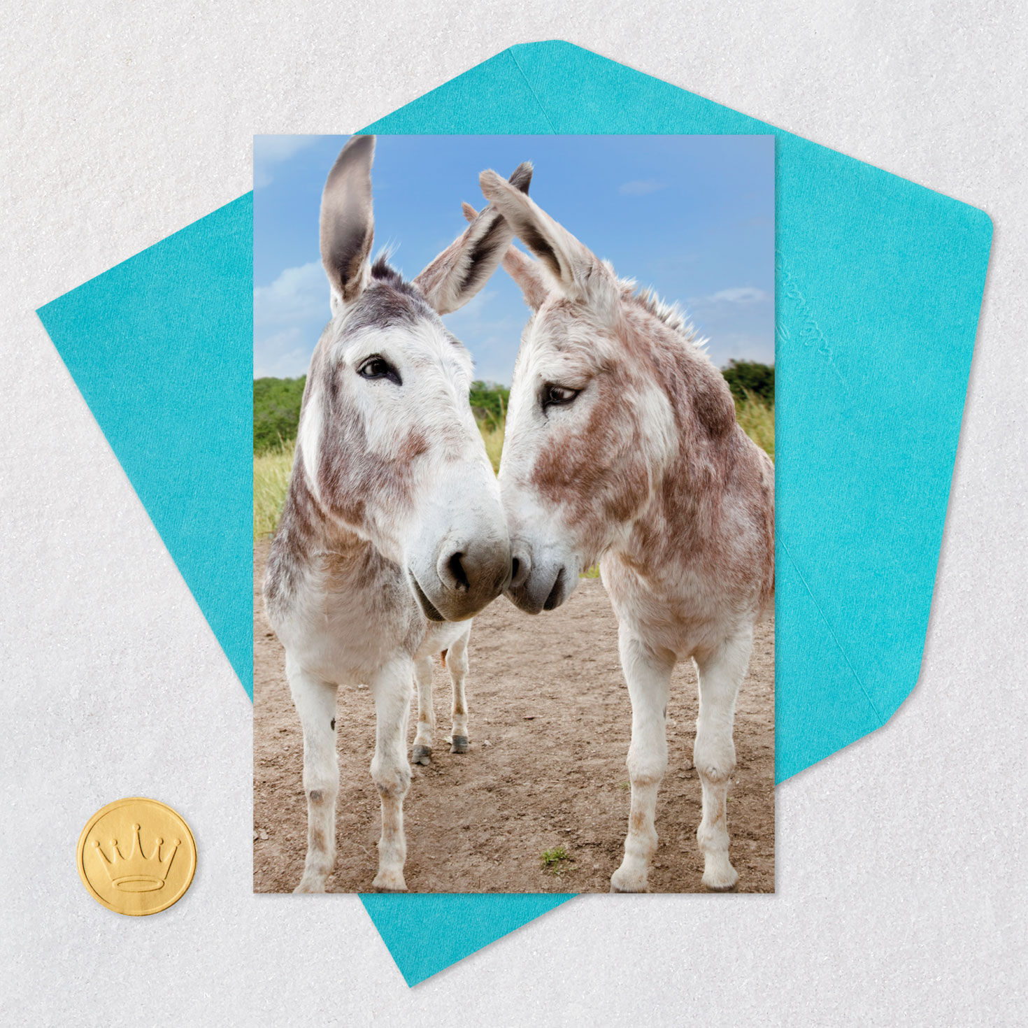 Adult Donkey Funny Anniversary Card Card Front with Envelope and Gold Seal image number 5