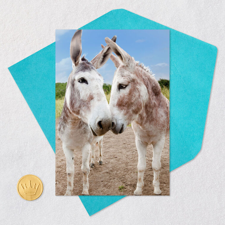 Adult Donkey Funny Anniversary Card Card Front with Envelope and Gold Seal image number 5