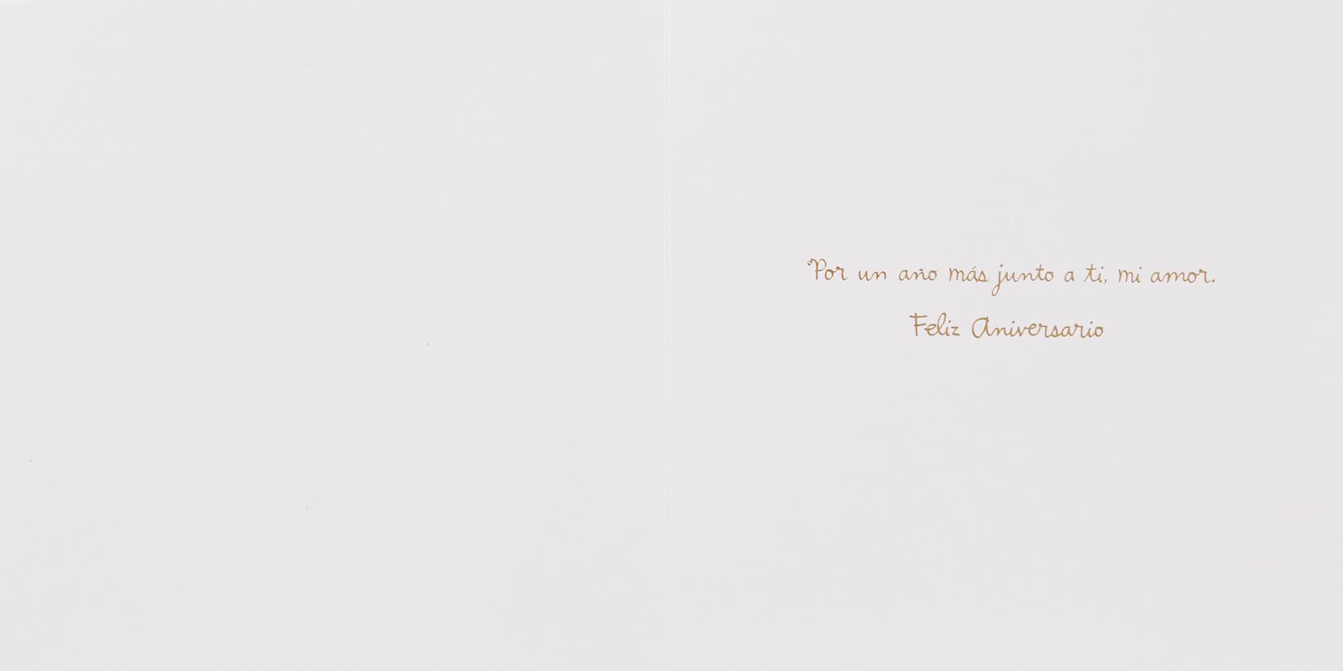 Por un Año Más Junto a Ti Spanish Language Anniversary Card