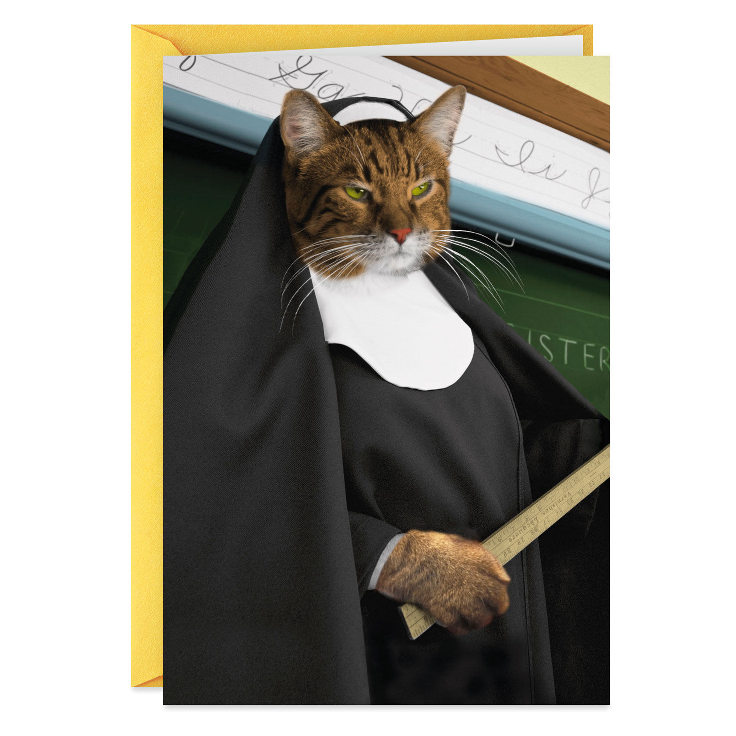 Cat Nun Pun Funny Birthday Card Greeting Cards Hallmark
