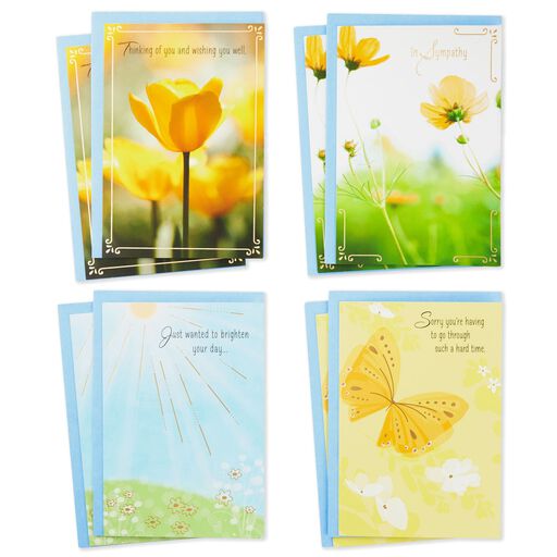 Floral Assorted Care and Concern Cards, Pack of 8, 