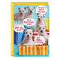You're Top Dog Today Funny Birthday Card, , large image number 1