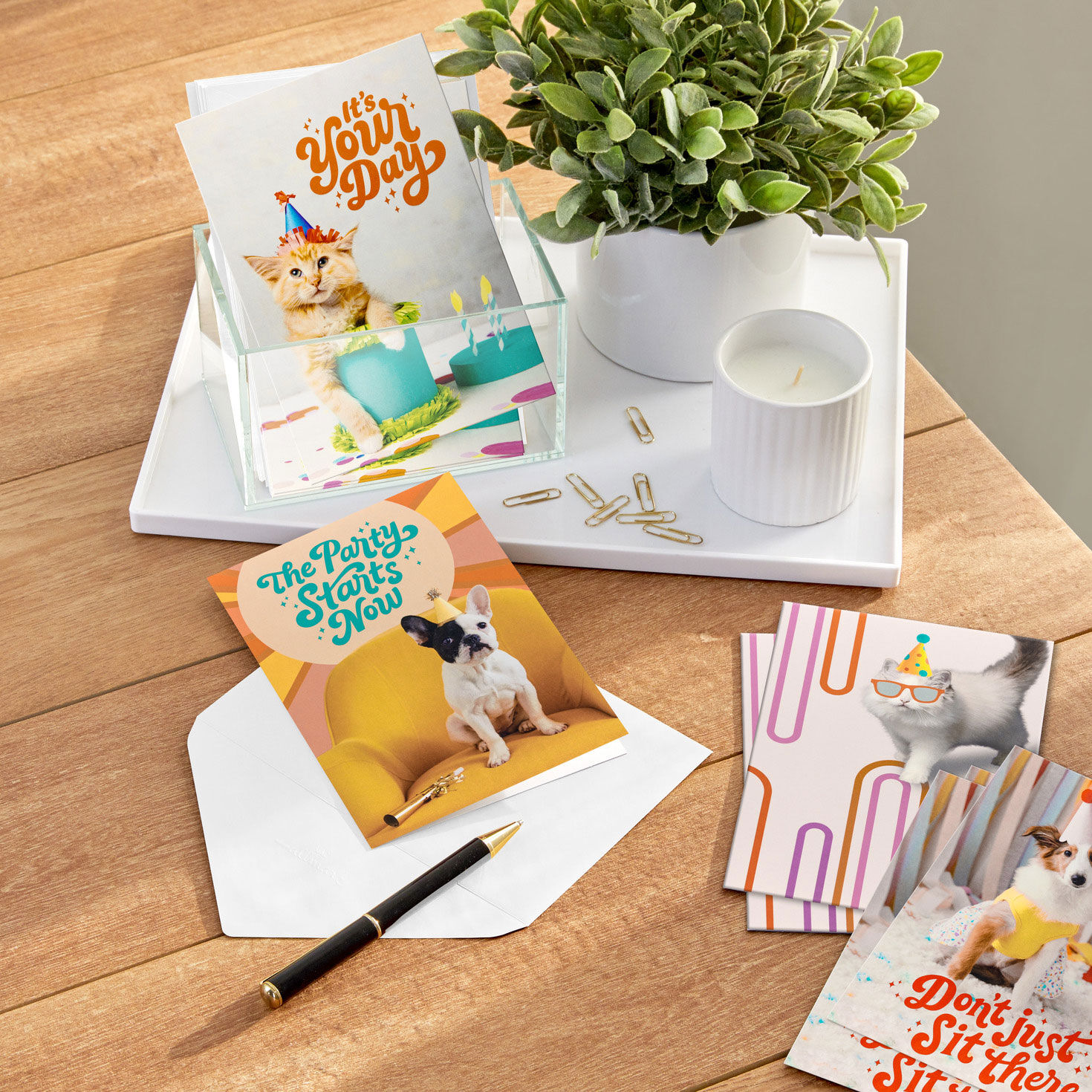 Cats and Dogs Birthday Party Cards Assortment In use image number 7