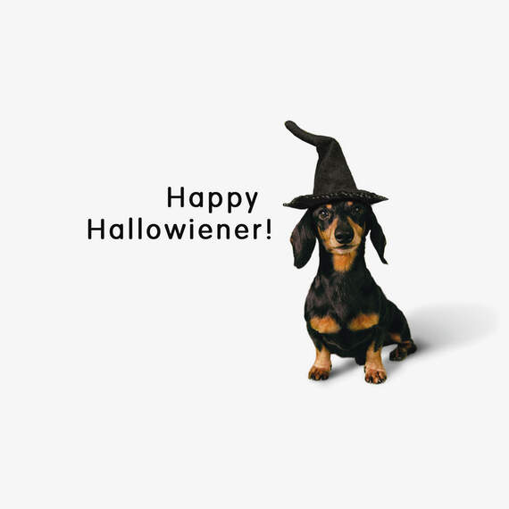 Happy Hallowiener Witch Dog Funny Halloween Card, , large image number 2