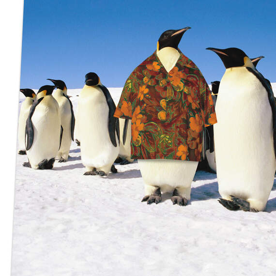 Hawaiian Shirt Penguin Father's Day Card, , large image number 4
