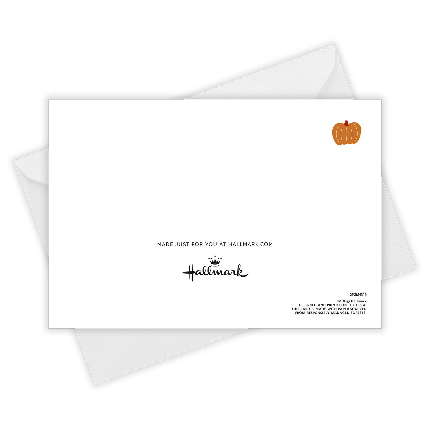 Fun From Your Favorite Turkeys Custom Thanksgiving Card - Greeting ...