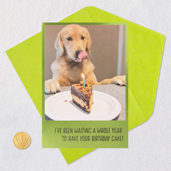 Dog Years Waiting for Cake Funny Birthday Card, , large image number 5