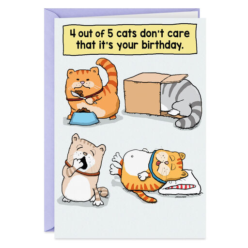Noah S Ark Unicorns Funny Birthday Card Greeting Cards Hallmark