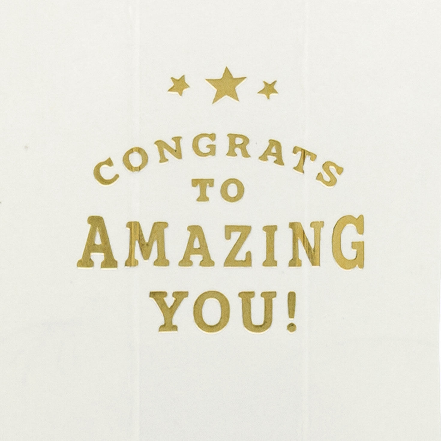 Die-Cut Owl Grad and Scroll Money Holder Grad Card Sentiment image number 2