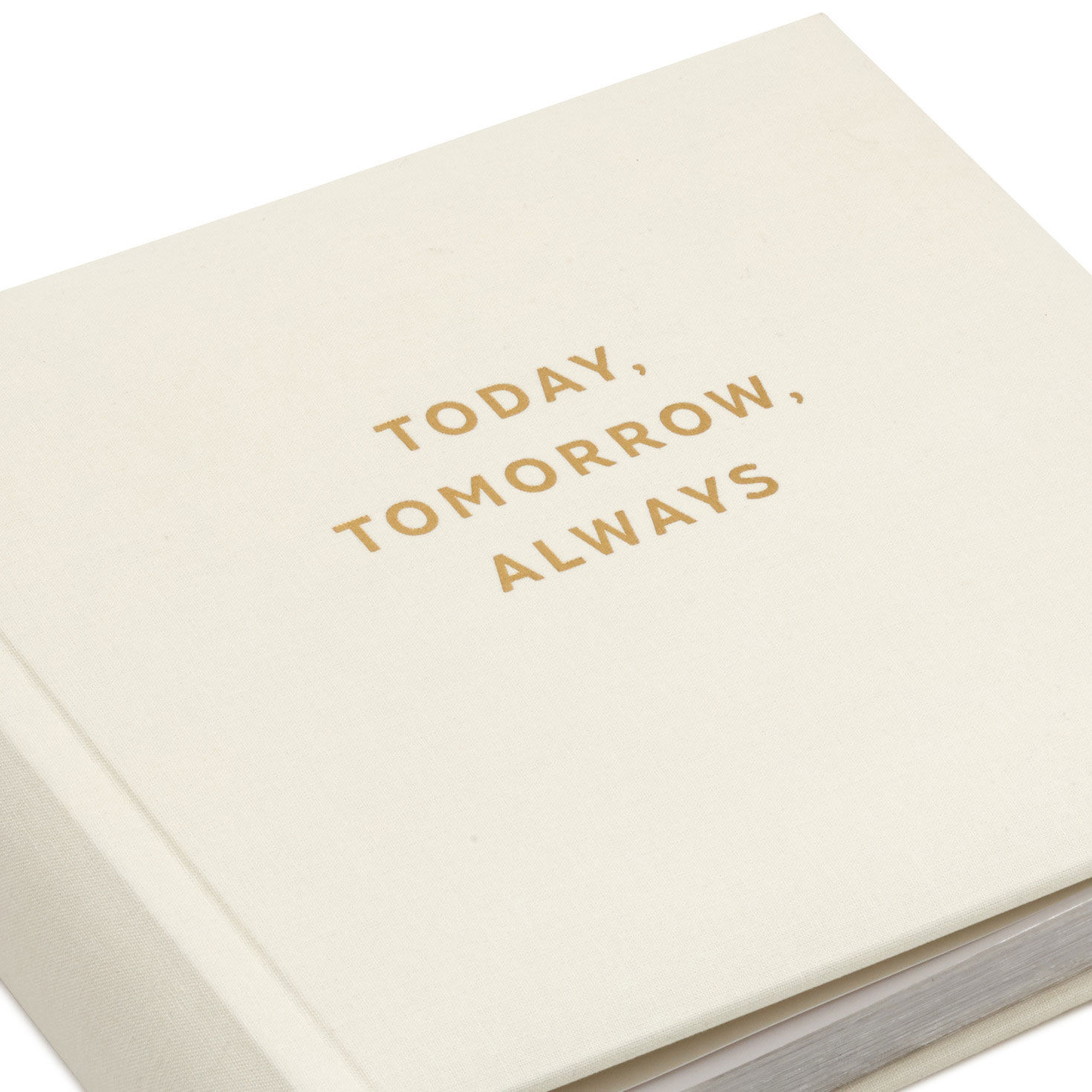 Cream and Gold 2-Up Wedding Photo Album closeup view image number 5