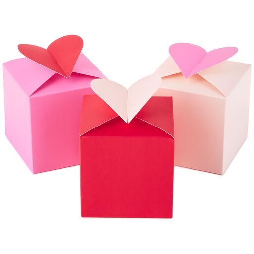 valentine s day gift