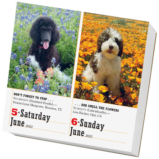 page a day calendar 2021 flowers