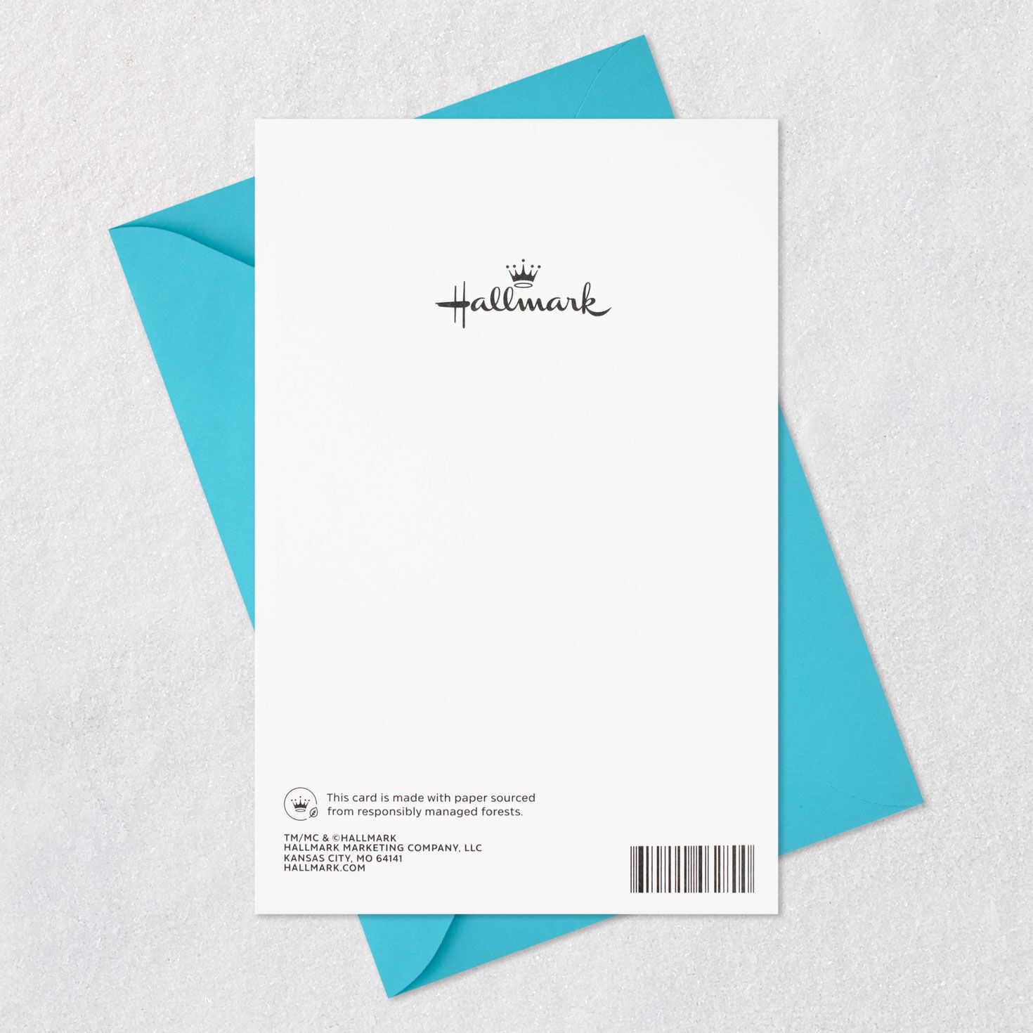 Colorful Elegant Paisley Pattern Blank Card Card Back with Envelope image number 6