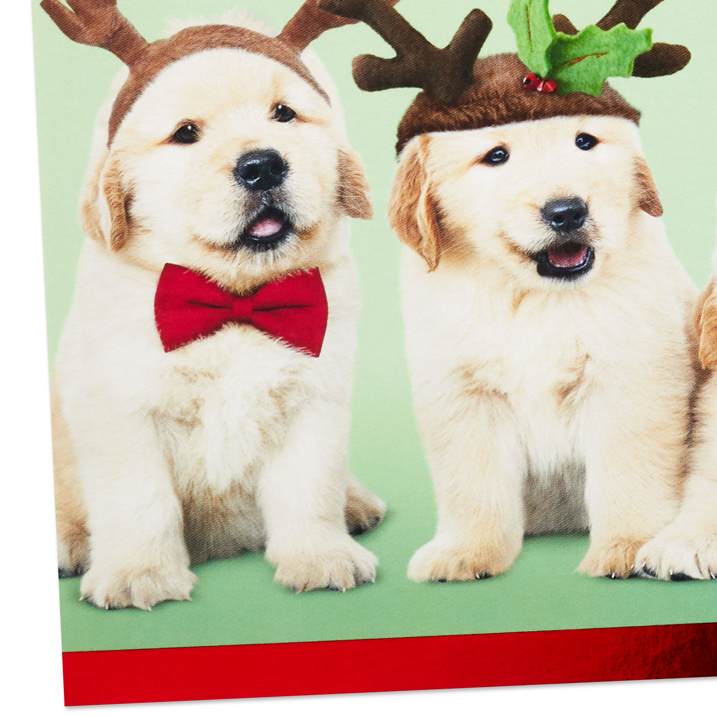 Golden Retriever Puppies Christmas Cards Pack Cover Detail image number 5