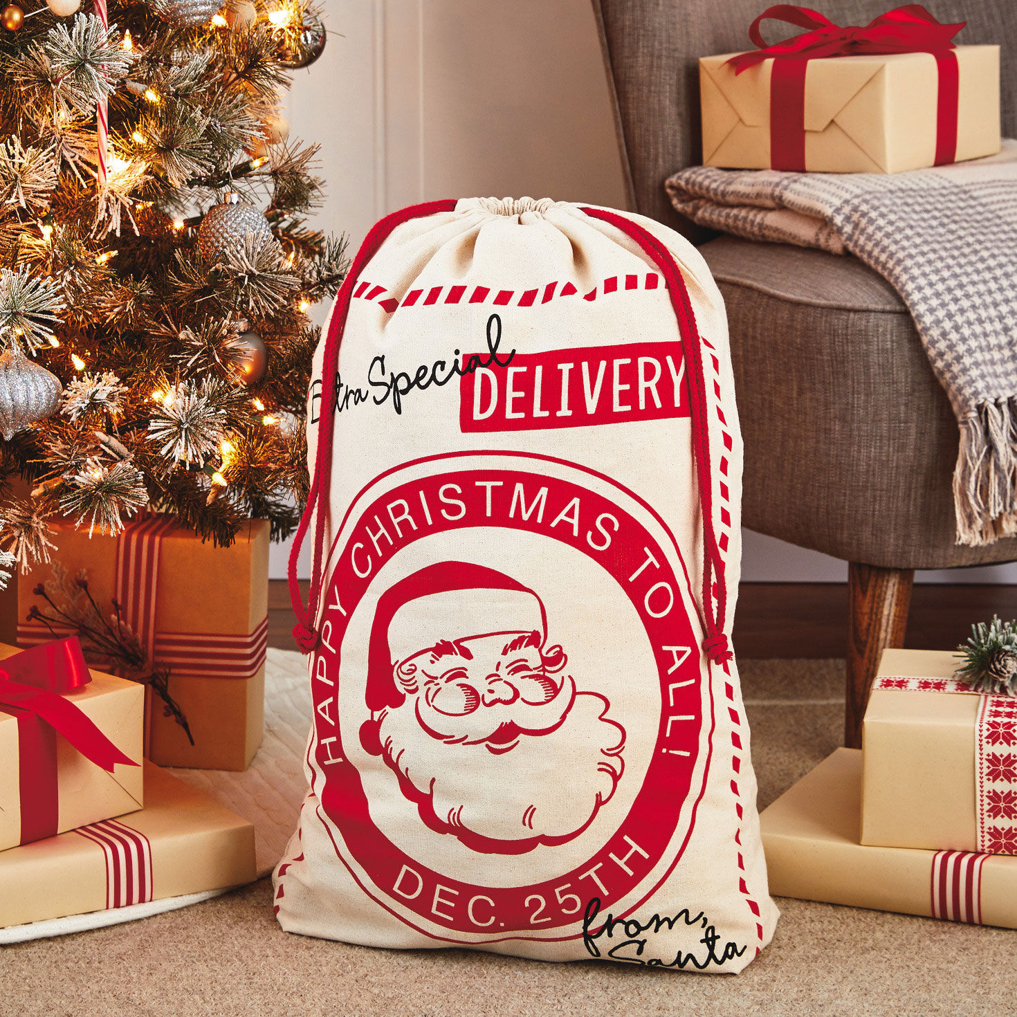 Special Delivery From Santa XL Fabric Gift Bag  image number 2