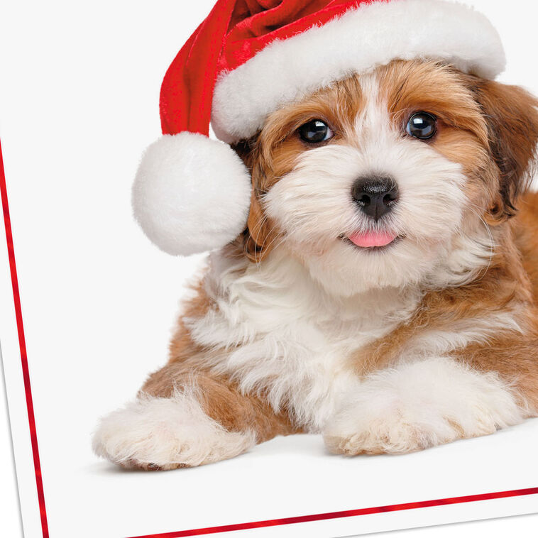Warm Smiles Puppy Dog in Santa Hat Christmas Card, , large image number 4