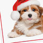 Warm Smiles Puppy Dog in Santa Hat Christmas Card, , large image number 4