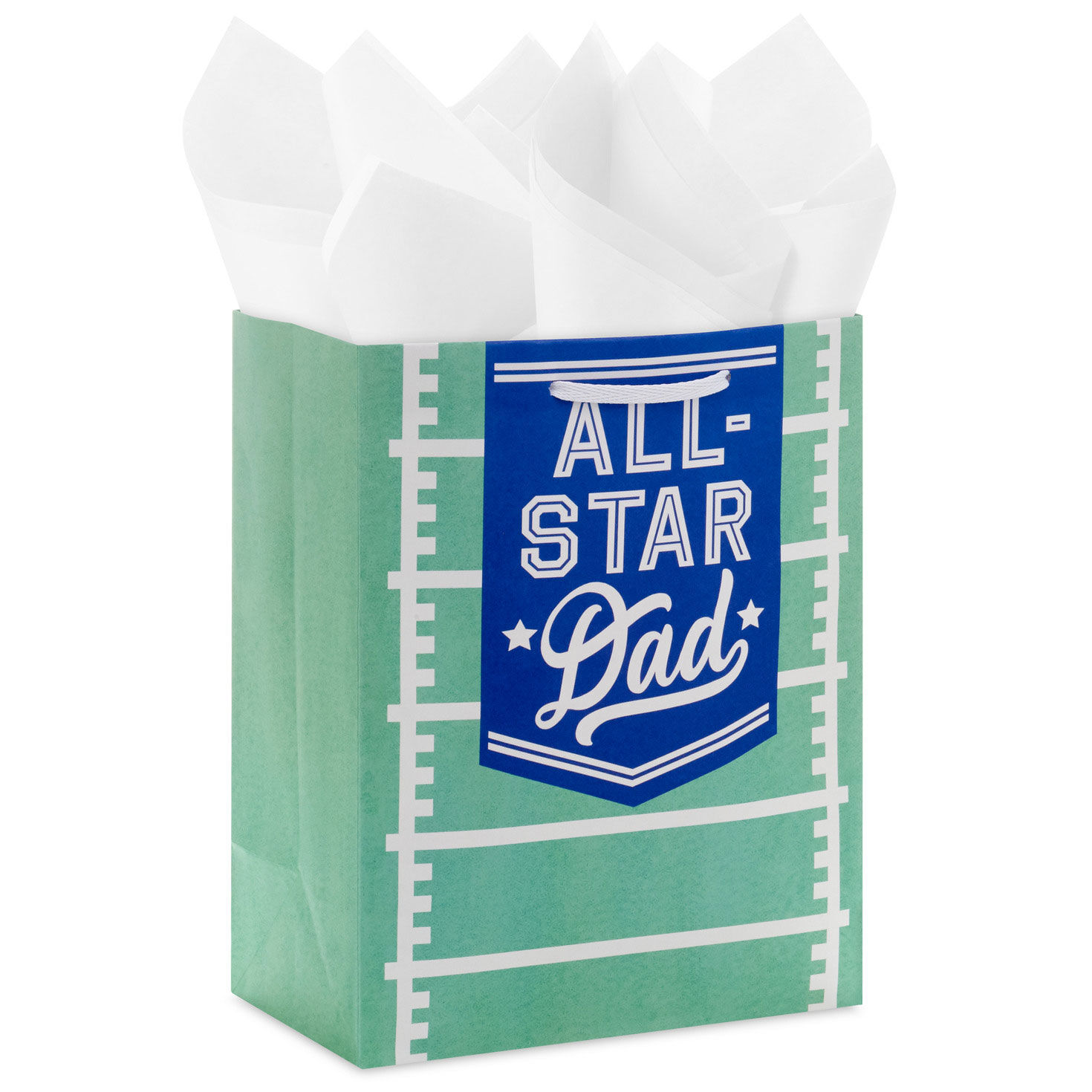 9.6" All-Star Dad Football Field Medium Father's Day Gift Bag With Tissue Paper