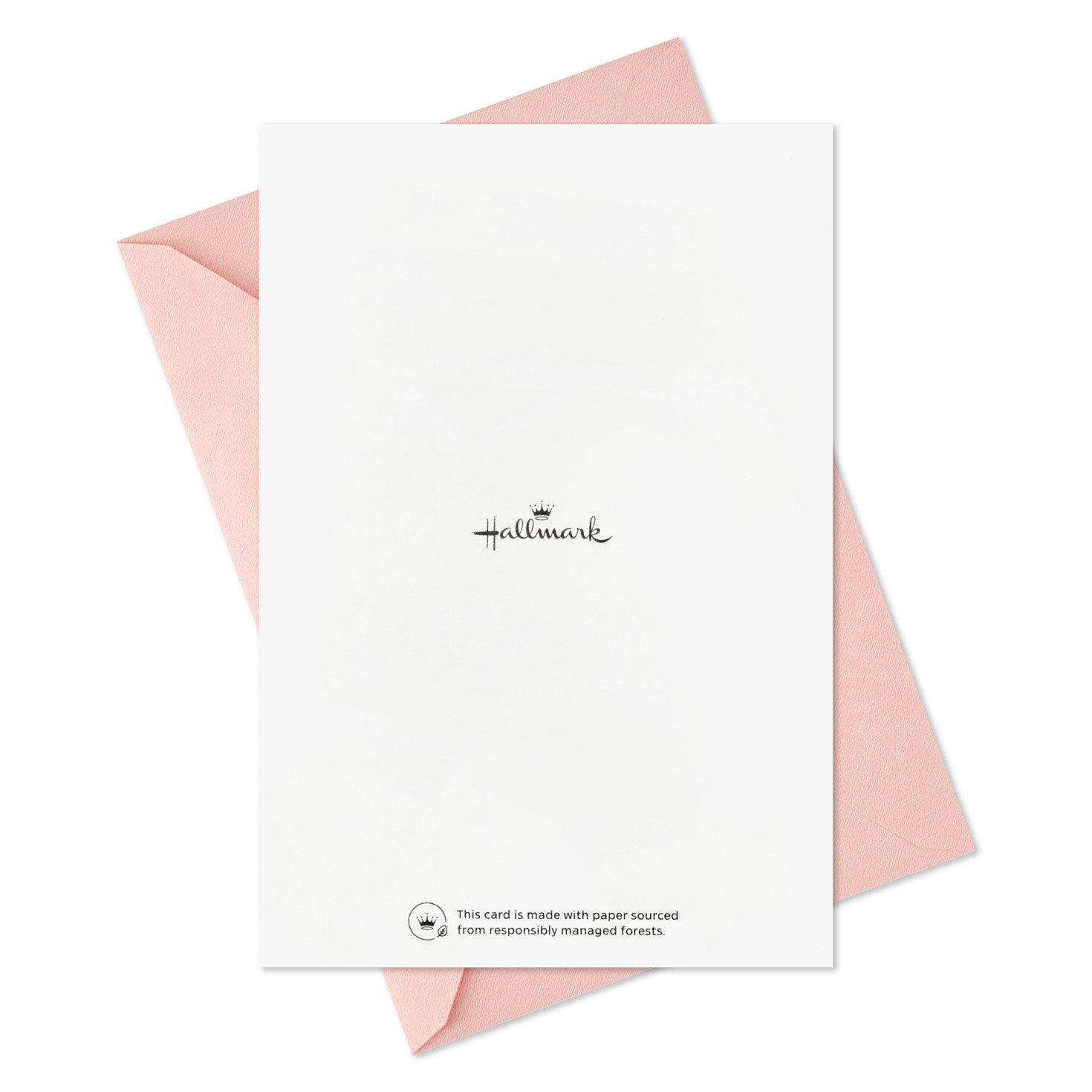 Pink and Green Beach Boxed Note Cards Assortment Card Back with Envelope image number 7