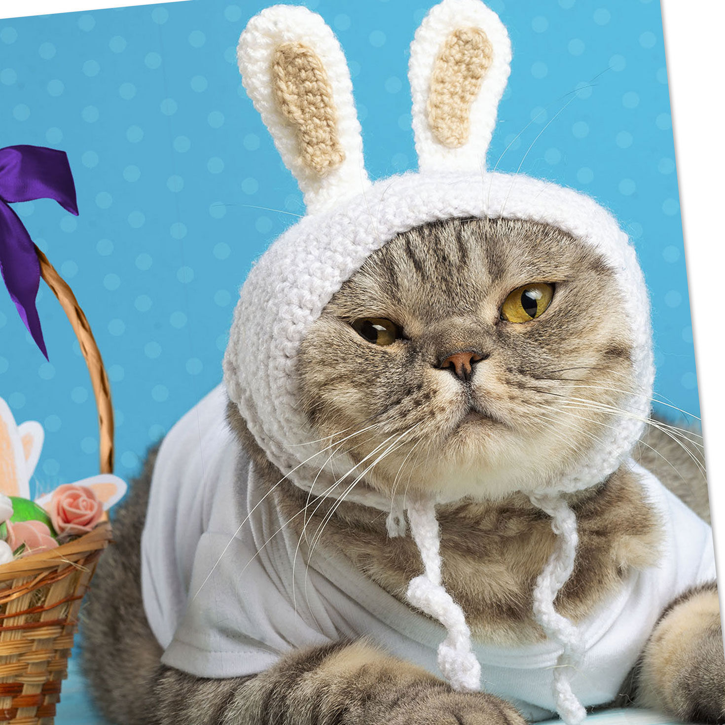 Cat in Bunny Ears Funny Easter Card With Sound Card Front Detail image number 4