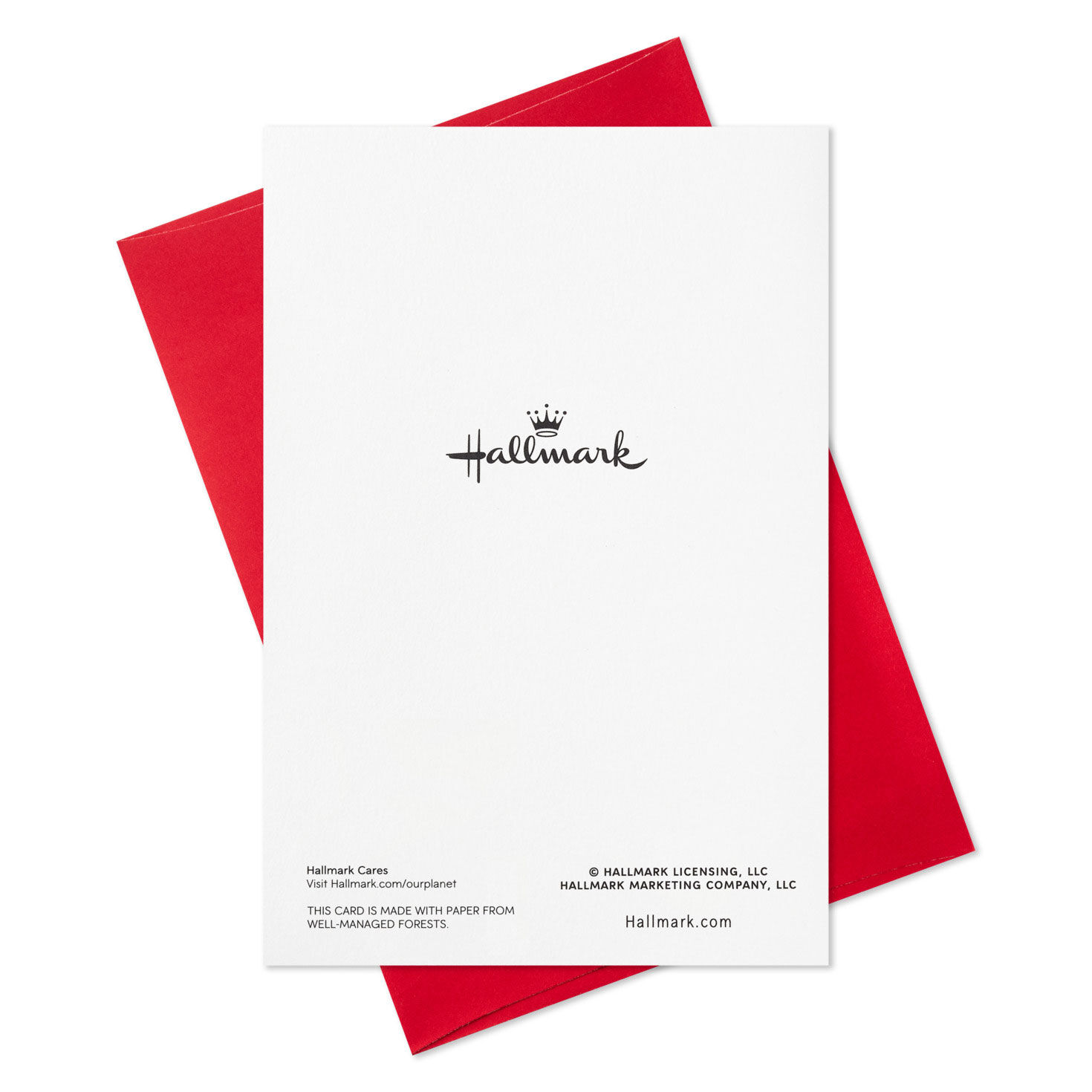 Santa Carrying Fir Tree Packaged Christmas Cards, Set of 5, , large image number 7