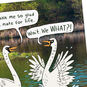Swans on Lake Funny Anniversary Card for Spouse Card Front Detail image number 4