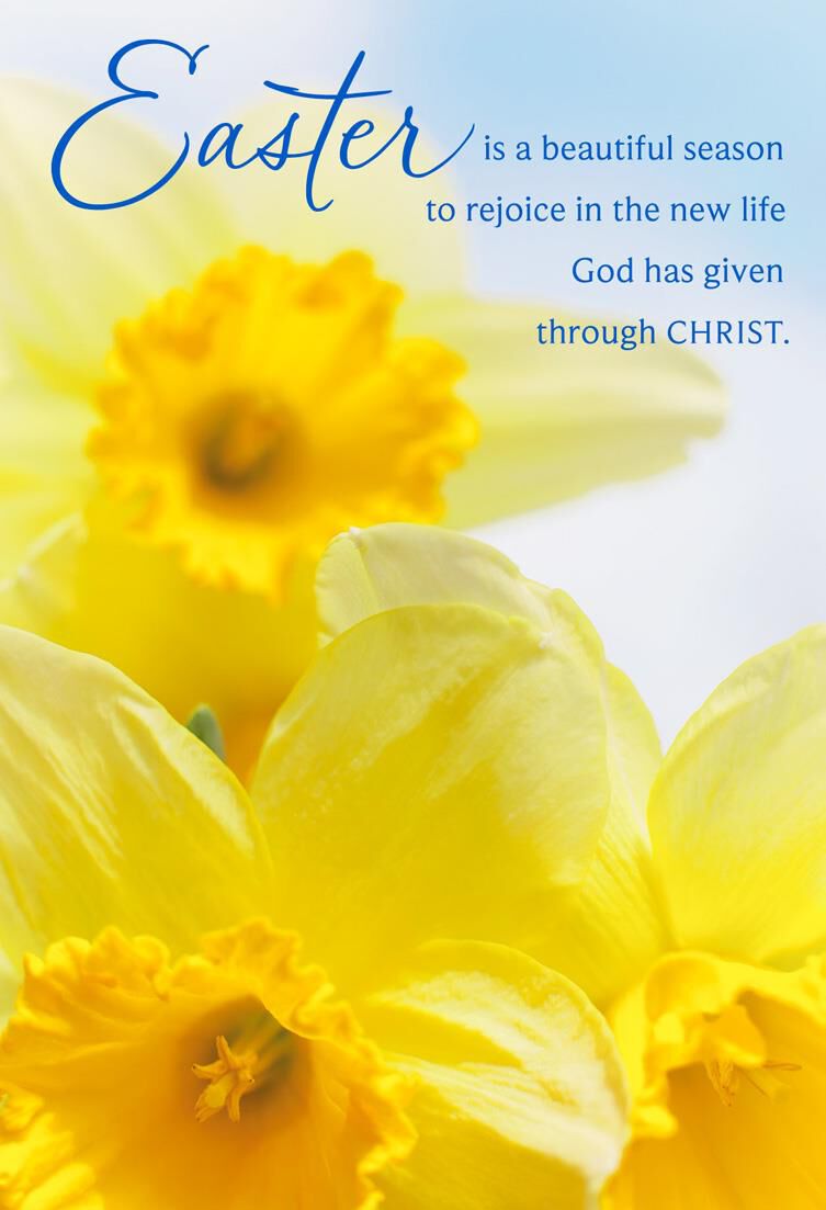 Yellow Daffodils Religious Easter Cards, Pack of 6 Boxed Cards Hallmark