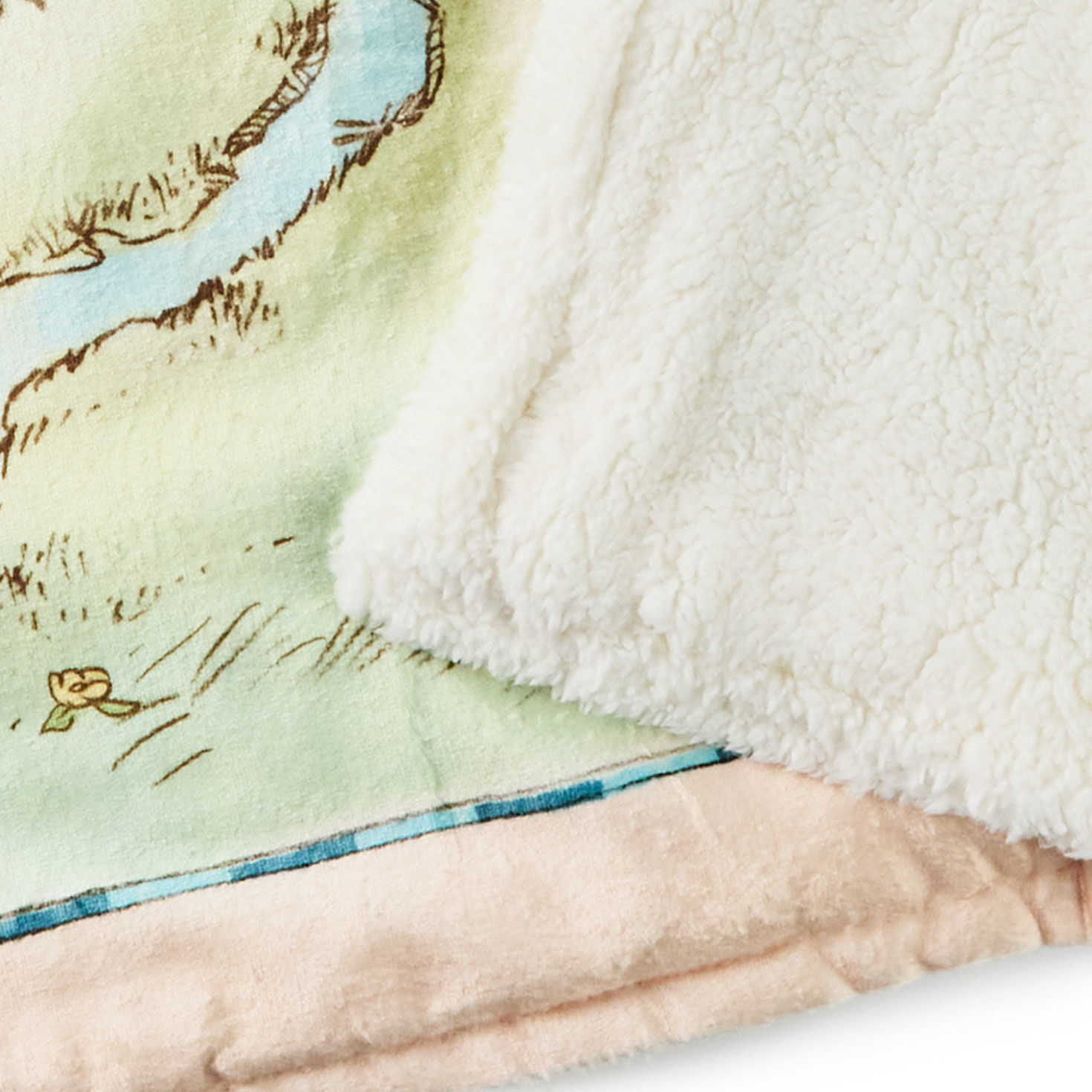 Disney Winnie the Pooh Hundred Acre Wood Map Blanket upclose view image number 4